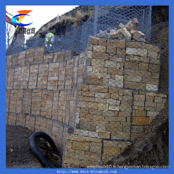 100 * 120mm Galvanized Gabion Wire Mesh à vendre